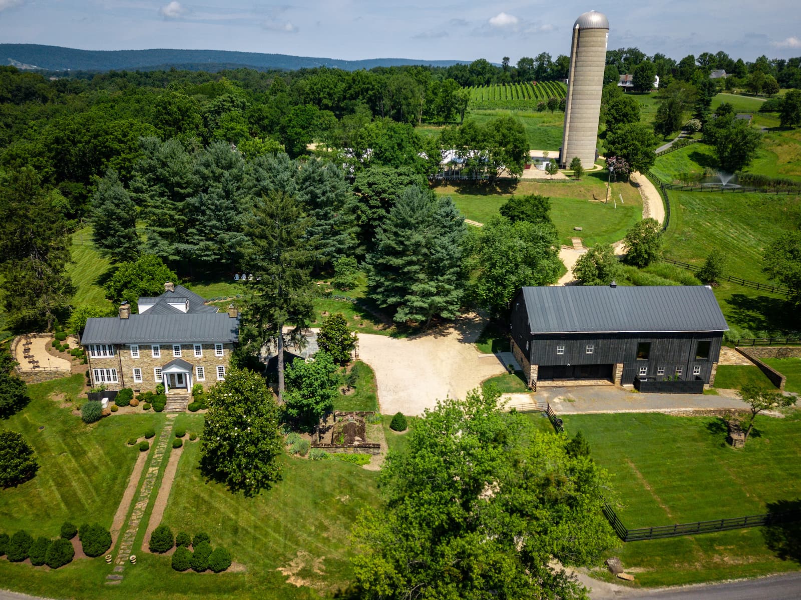 Otium vineyard Loudoun County