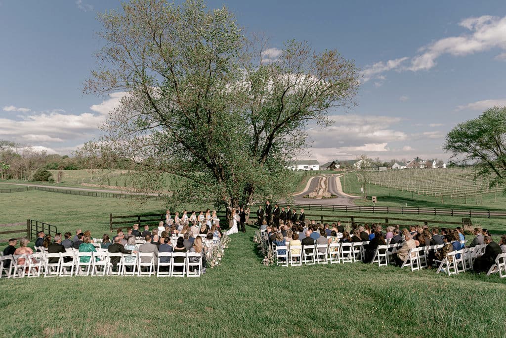 Willow Tree with guests