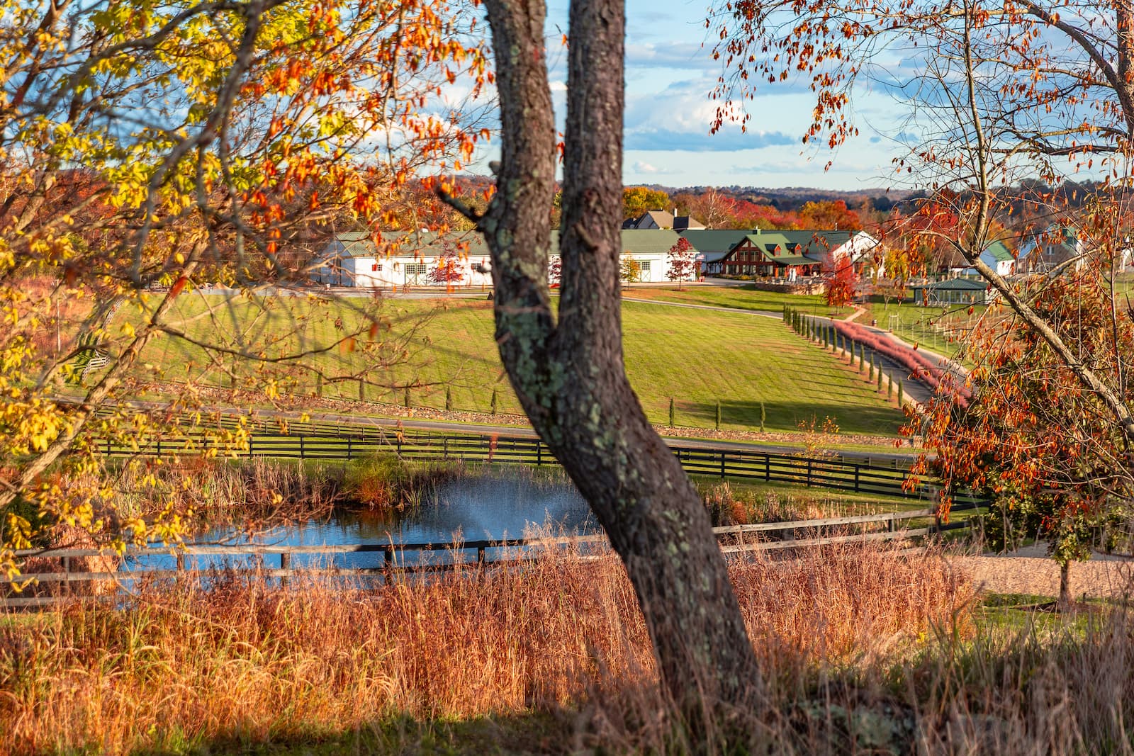 Wedding at Tranquility Farm